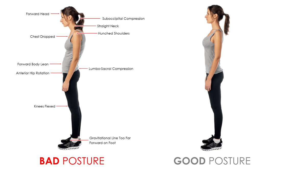 GOOD POSTURE: A State of Relaxation - Serola